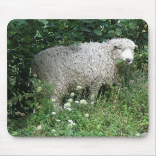 Alfombrilla De Ratón Cuidadosa oveja blanquecina que come Mousepad