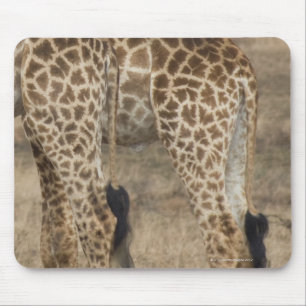 Alfombrilla De Ratón Cultivo de dos jirafas (Giraffa)