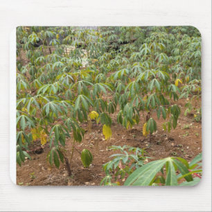 Alfombrilla De Ratón Cultivo de yuca