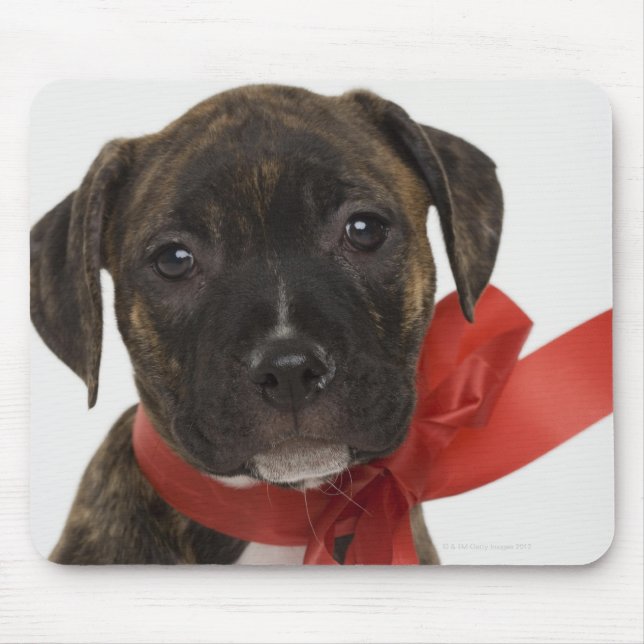 Alfombrilla De Ratón Cúpula de Pitbull con cinta roja (Frente)