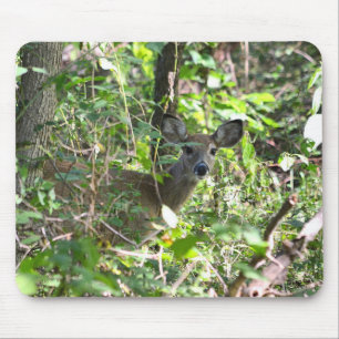 Alfombrilla De Ratón Curioso ciervo blanco