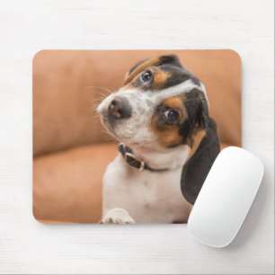 Alfombrilla De Ratón Cute Beagle Puppy Aspecto Típico Mousepad