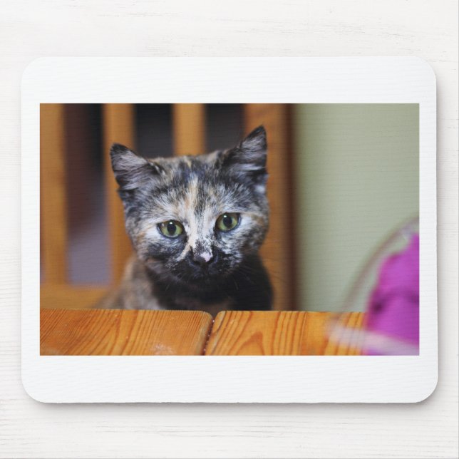 Alfombrilla De Ratón Cute Black and White Kitten (Frente)