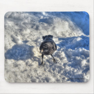 Alfombrilla De Ratón Cute Black Raven en la foto de la nieve