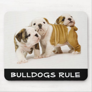 Alfombrilla De Ratón Cute Bulldogs Rule Juguete Perros Juego Alfombrill