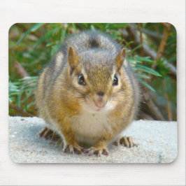 Alfombrilla De Ratón Cute Chipmunk Tiene La Vista En Ti