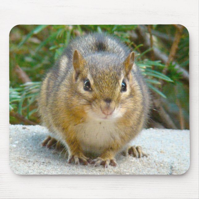 Alfombrilla De Ratón Cute Chipmunk Tiene La Vista En Ti (Frente)