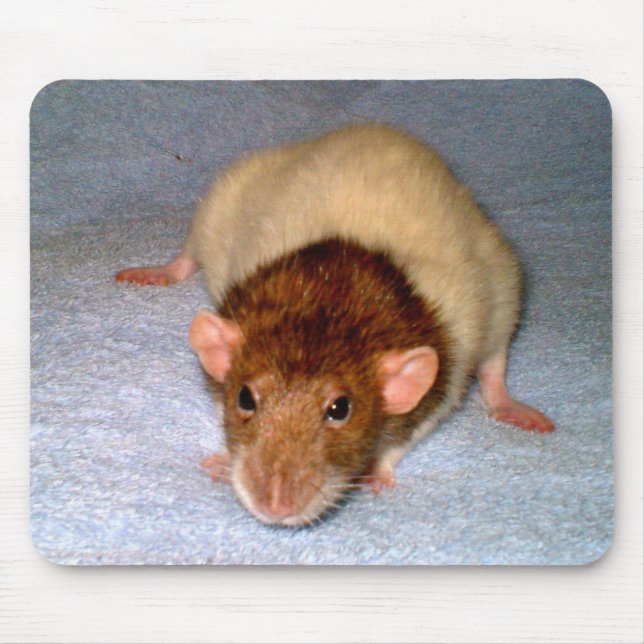 Alfombrilla De Ratón Cute Dumbo Rat Mousepad (Frente)