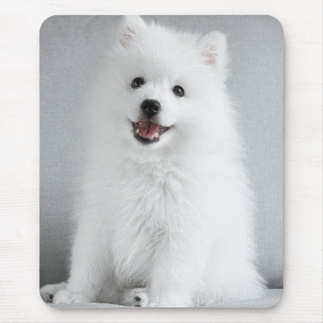 Alfombrilla De Ratón Cute Fluffy Japanese Spitz Puppy (Frente)