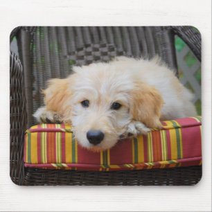 Alfombrilla De Ratón Cute Golden Doodle Puppy Mousepad