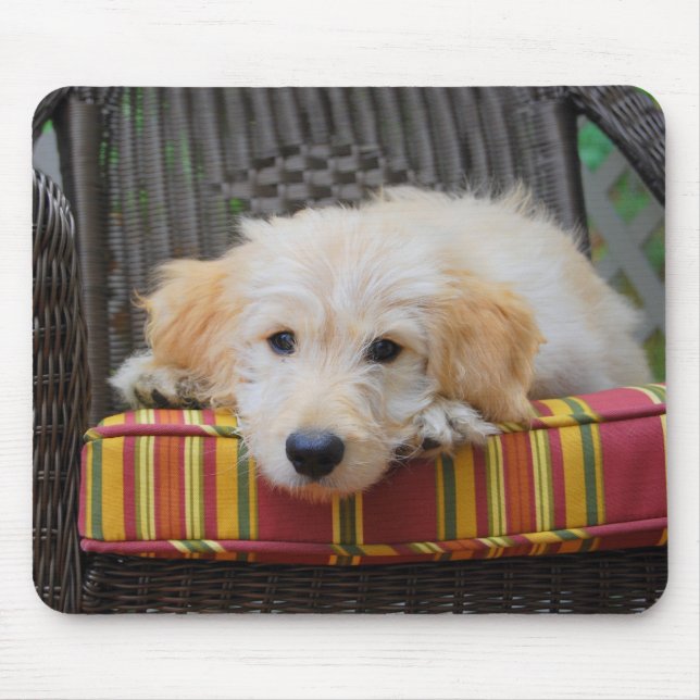 Alfombrilla De Ratón Cute Golden Doodle Puppy Mousepad (Frente)