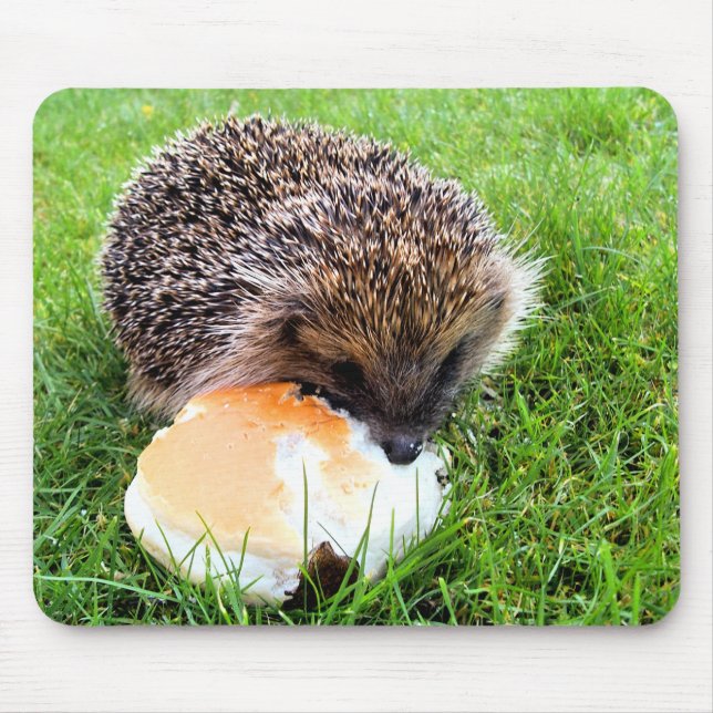 ALFOMBRILLA DE RATÓN CUTE HEDGEHOG (Frente)