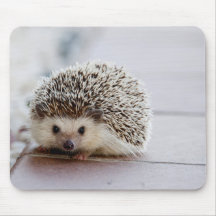 Cute Hedgehog, almohadilla del ratón