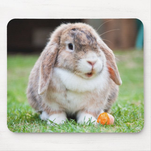 Alfombrilla De Ratón Cute Holland Mini Conejo Conejo Conejo Conejo (Frente)