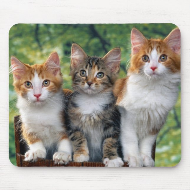 Alfombrilla De Ratón cute-kittens-with-nature-backgrounds_jpg 3 (Frente)
