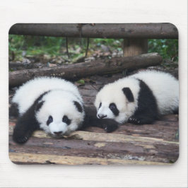Alfombrilla De Ratón Cute Panda Babies Mouse Pad