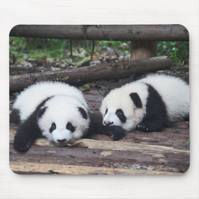 Alfombrilla De Ratón Cute Panda Babies Mouse Pad (Frente)
