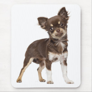 Alfombrilla De Ratón Cute Puppy Dog Gift Long Hair Funny Chihuahua