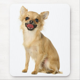 Alfombrilla De Ratón Cute Puppy Dog Lover Long Haired Chihuahua