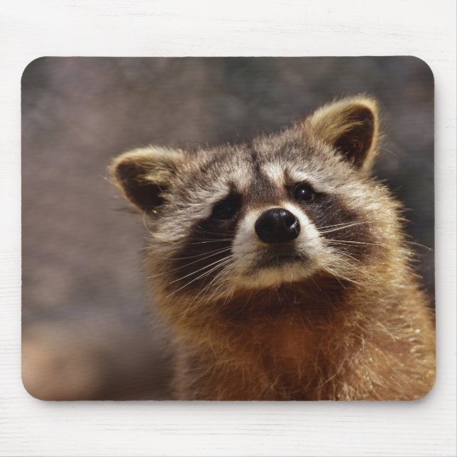 Alfombrilla De Ratón Cute Racoon (Frente)