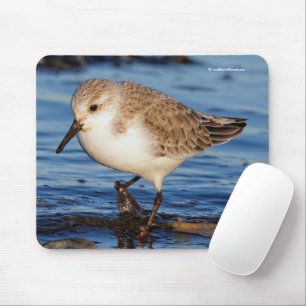 Alfombrilla De Ratón Cute Sanderling Sandpiper Ave Playera Pasea por la