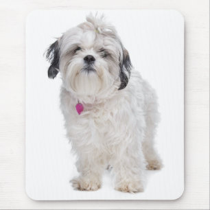 Alfombrilla De Ratón Cute Shih Tzu Cachorro Blanco Mamá Amor