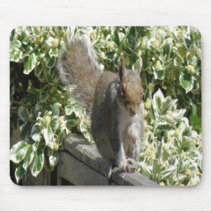 Alfombrilla De Ratón Cute Squirrel Mousepad