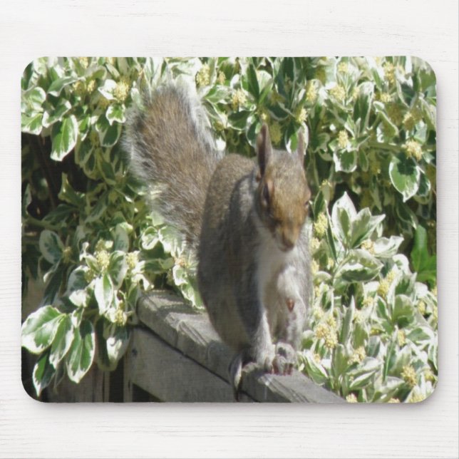 Alfombrilla De Ratón Cute Squirrel Mousepad (Frente)