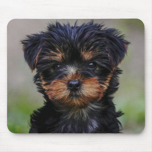 Alfombrilla De Ratón Cute Yorkie Puppy (Frente)
