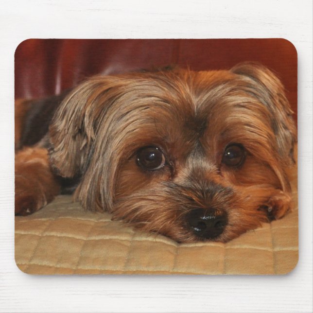 Alfombrilla De Ratón Cute Yorkshire Terrier Mousepad (Frente)
