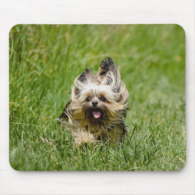 Alfombrilla De Ratón Cute Yorkshire Terrier Running Through Grass (Frente)