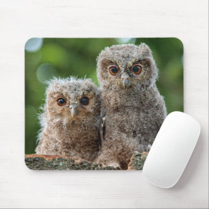 Alfombrilla De Ratón Cutest Baby Animals Two Young Owls