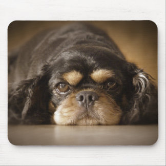 Alfombrilla De Ratón ¡Cutie Cav!