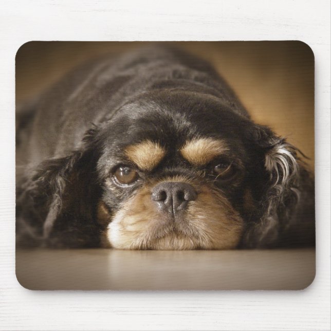 Alfombrilla De Ratón ¡Cutie Cav! (Frente)