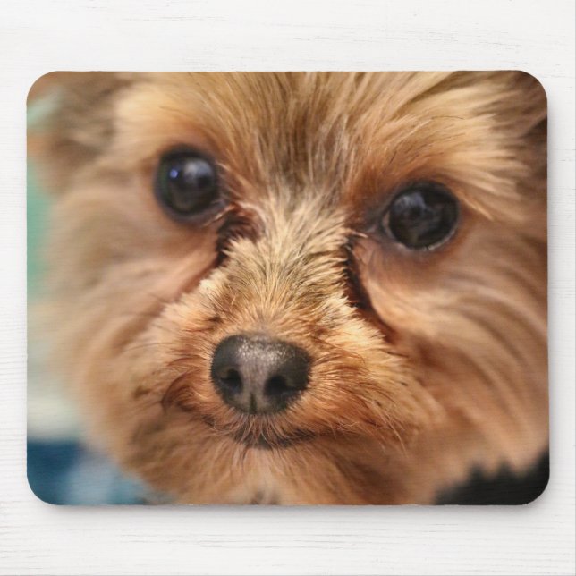 Alfombrilla De Ratón Cuto (Frente)