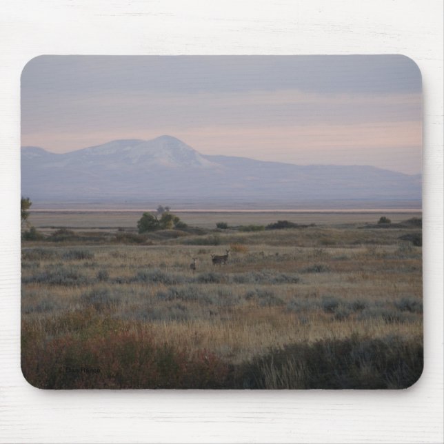 Alfombrilla De Ratón D10 Colinas de hierba blanca y dulces (Frente)