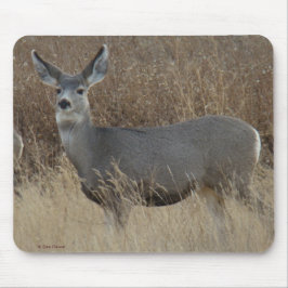 Alfombrilla De Ratón D14 Mule Deer Doe