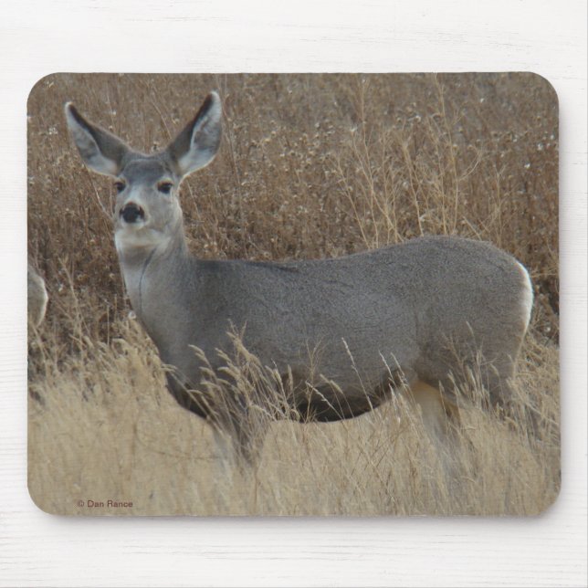 Alfombrilla De Ratón D14 Mule Deer Doe (Frente)