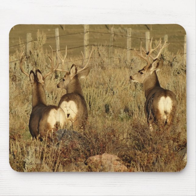 Alfombrilla De Ratón D30 Mule Deer Bucks (Frente)
