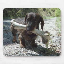 Alfombrilla De Ratón Dachshund