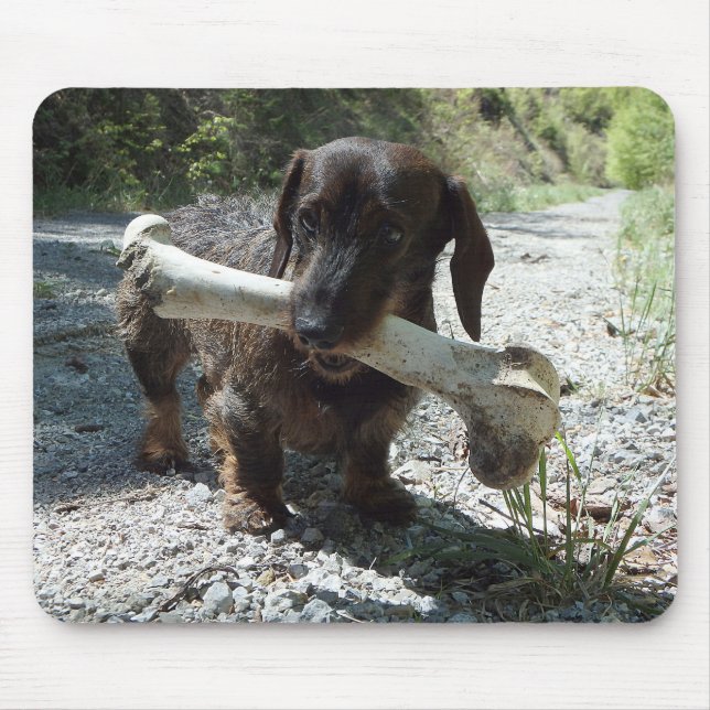 Alfombrilla De Ratón Dachshund (Frente)