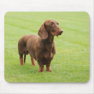 Alfombrilla De Ratón Dachshund