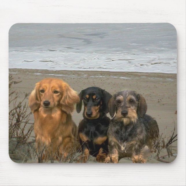 Alfombrilla De Ratón Dachshund en la playa Mousepad (Frente)
