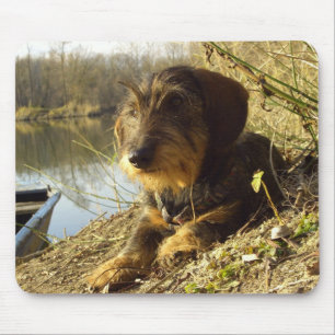 Alfombrilla De Ratón Dachshund lindo en el lago