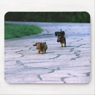 Alfombrilla De Ratón Dachshund miniatura 3