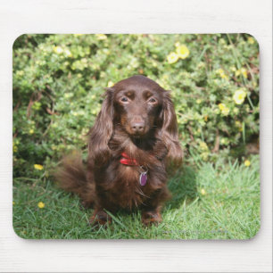 Alfombrilla De Ratón Dachshund miniatura de pelo largo de Brown