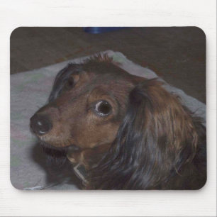 Alfombrilla De Ratón Dachshund Mousepad