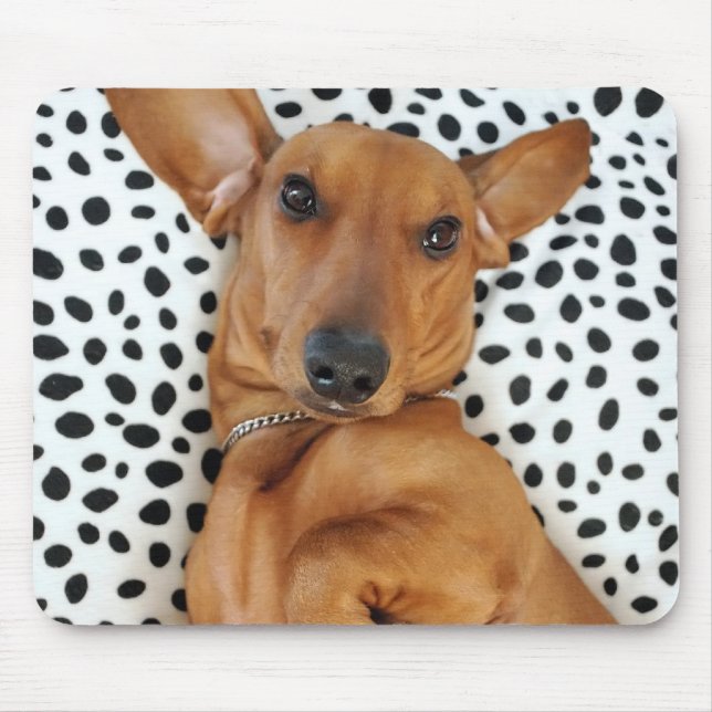 Alfombrilla De Ratón Dachshund Mousepad de la diversión (Frente)
