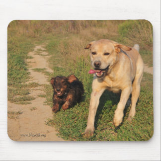 Alfombrilla De Ratón Dachshund y Labrador felices corrientes