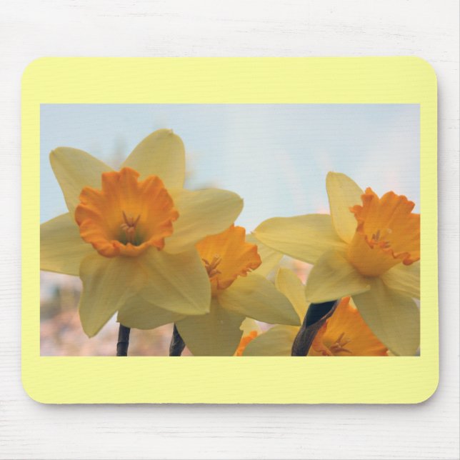 Alfombrilla De Ratón Daffodiles (Frente)